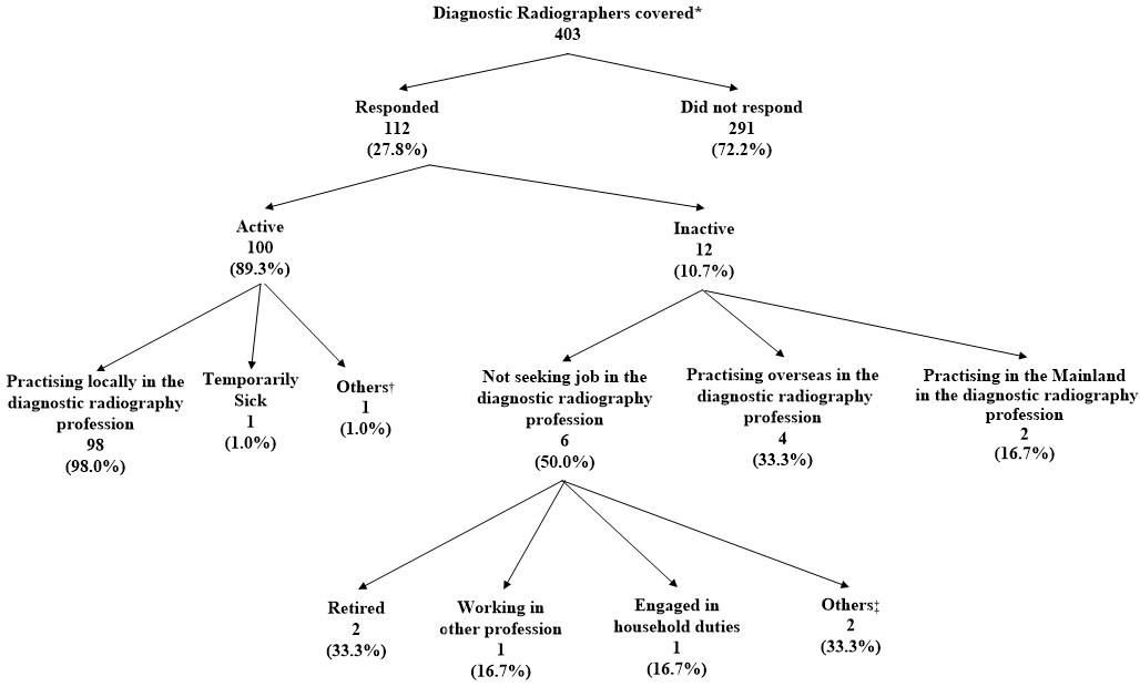 Activity Status of Diagnostic Radiographers Covered